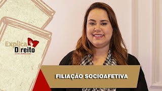 Explica Direito Filiação Socioafetiva  2019 [upl. by Refinne985]