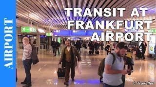 TRANSIT WALK AT FRANKFURT Airport FRA Terminal 1  Connection Flight Transfer Arriving amp Departing [upl. by Saiff]